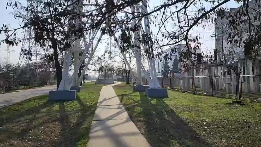 Солнце, птицы, свет для страны