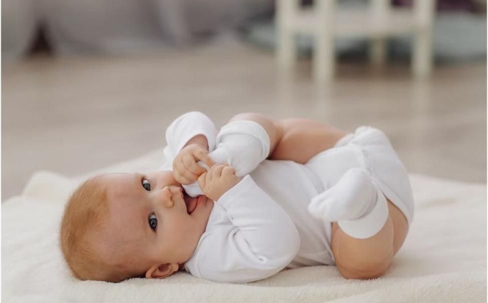 ����� ����� ���������� 2024 ����