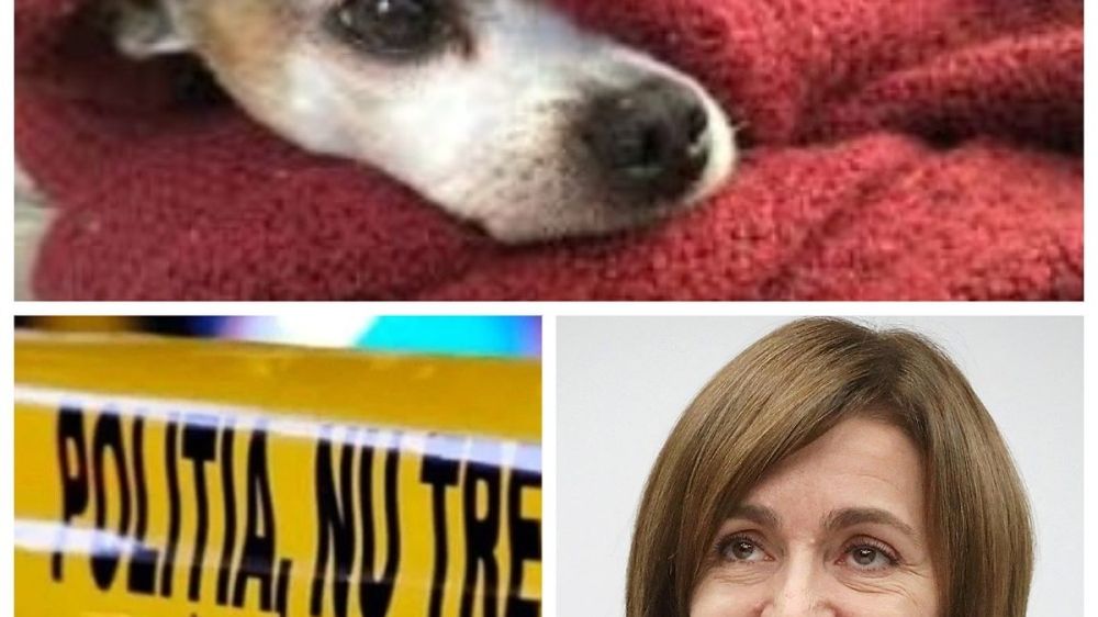 ���-5 �������� � ������� 12 ������� 2025: ������ �� ����� ������ �� ������� - ��� ���� �� +10 ��������; ������ ��������� ������� �� �������� �� ��, ��� � ������ ����� �������� � ������; � ������� ��������� ������ � �������, ��������� � �������������