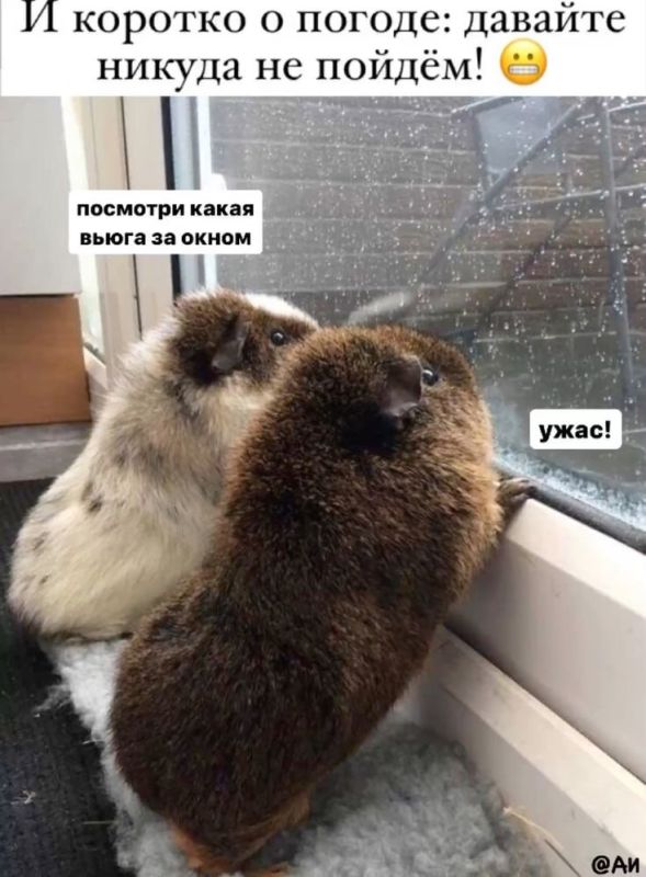 � �������, ���� �� �������� ������, ��� ���� ��� +9 ��