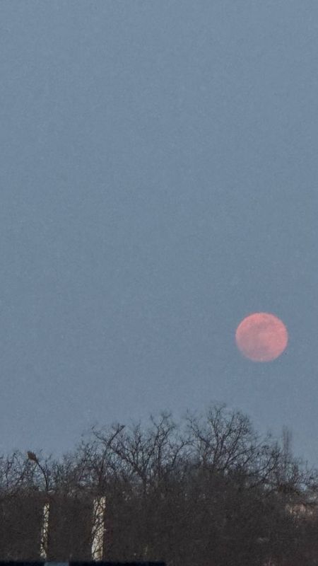 ������� ���� ������� ����. �� ��� ��� ��������� � ��������� ��� ������� �� ���� ����������