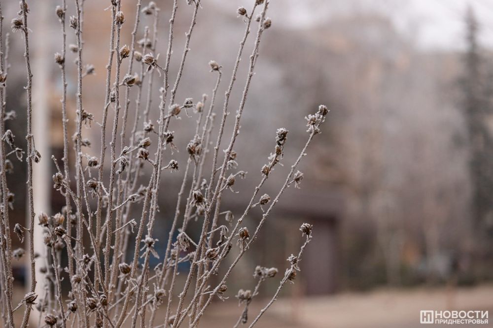 �� ��������� ������ ���� ����� ���� � ���� �����