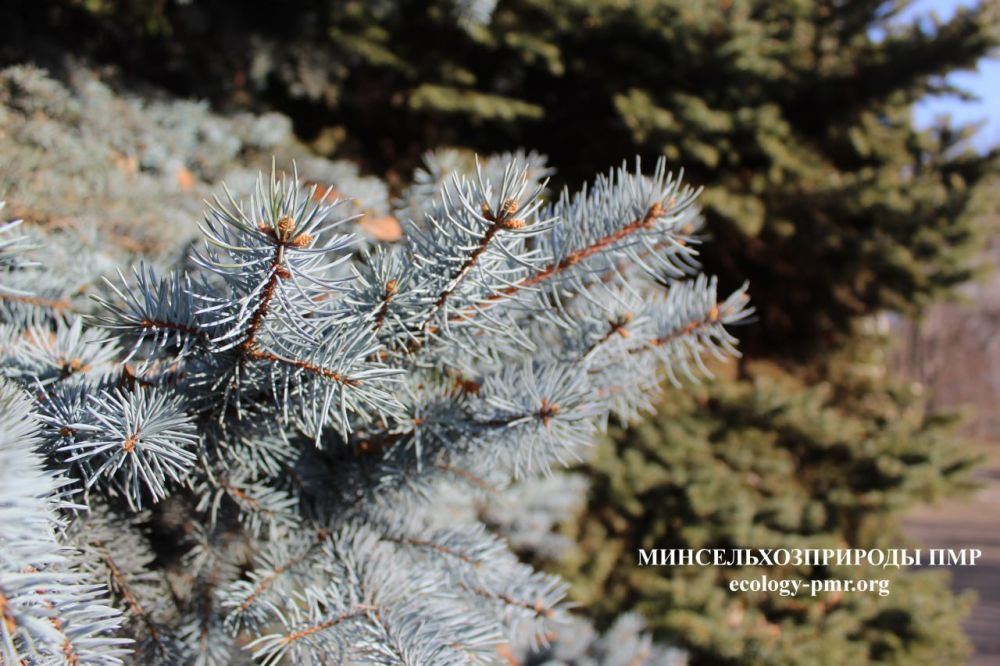 ������ ������ �� �������� ����������� �������������