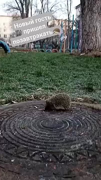 �� ���� ��������� �� ���������� ���������� ������������