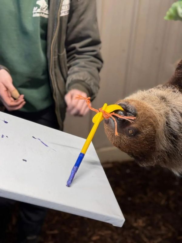 �������, ���������� ��������� ���-��������� ��������, �������� �� �������