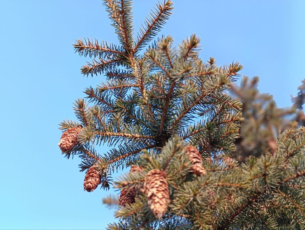 � �������� ������� � ������������� ������ ��������� ����