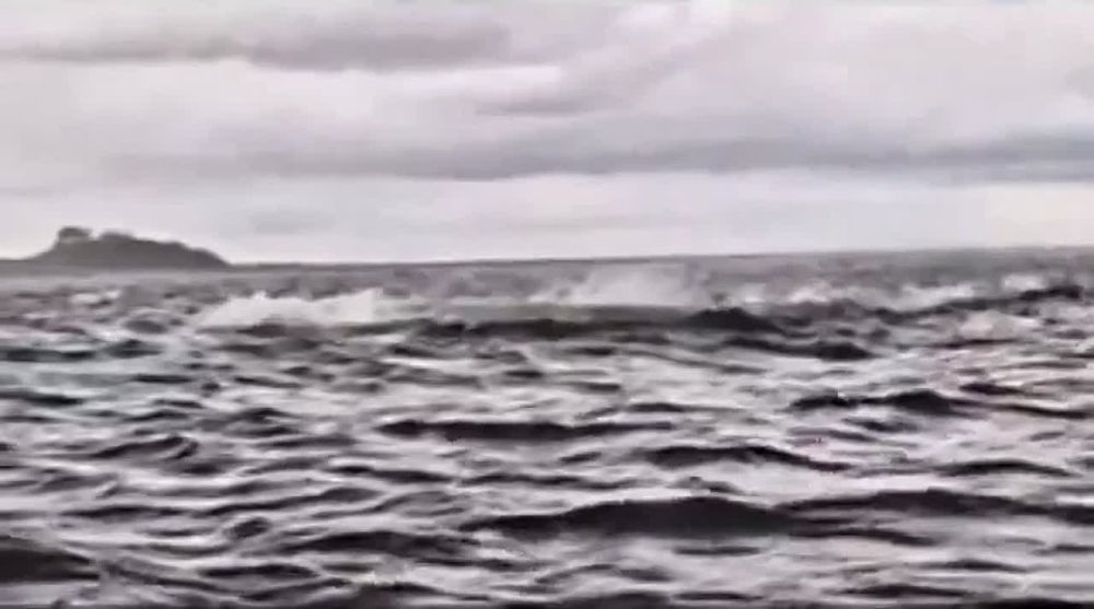 � ��������� ���� ������� �� ����� ��������� ��������� �������� ���, ������, ������ ��������� � � ����� �������� �������