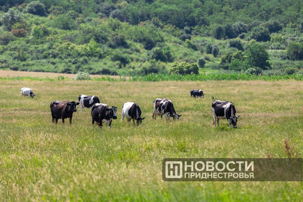 18,8 ��� ������ ������� ��������� ����������� �������������� ������ � ������� ����