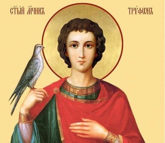 14 ������� ���������� �������� �������