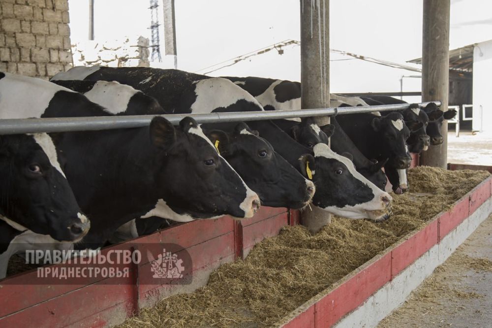 � ������� ���� �� ������� �������������� ������ ��������� 18,8 ��� ������