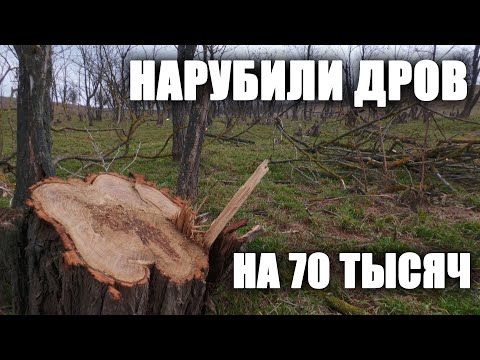 ���������� ������� �������� ����������� ��� ���� ����������-��������� ��������� �����