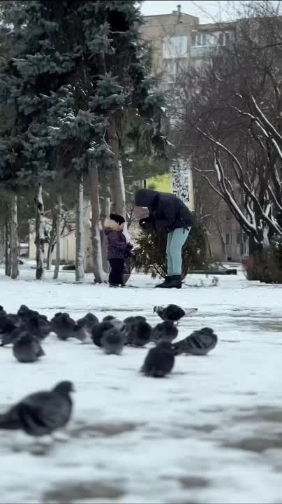 ������� ���������