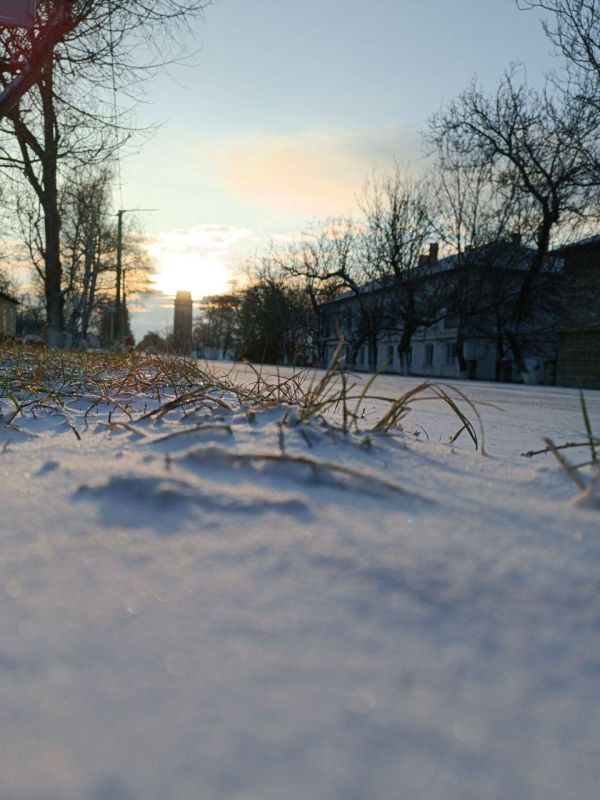 ������� ��������� ����