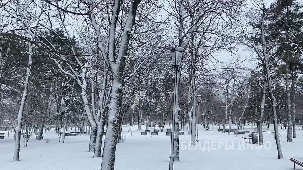 � ���� ������������� ������� ���� � ������ ���� ���������, ��� ����� ����