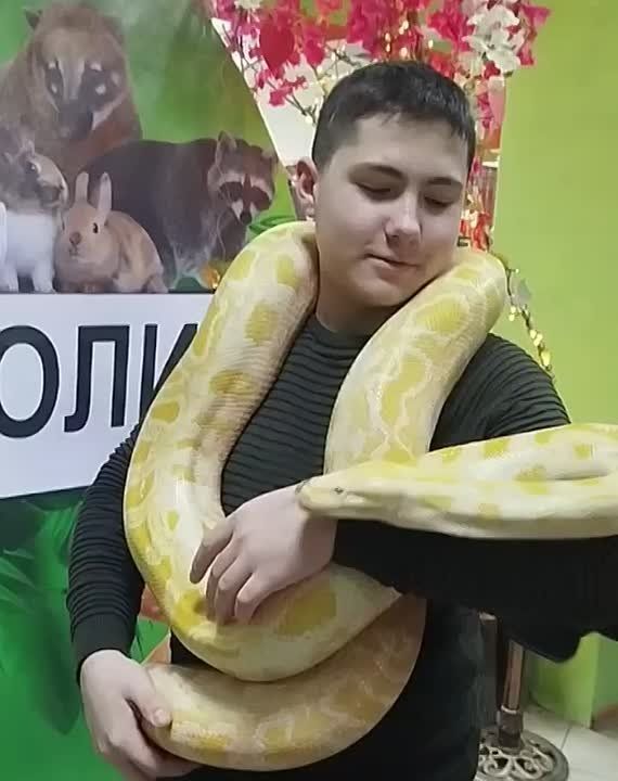 ����� �� ������� ������� � ����� � �������� ������