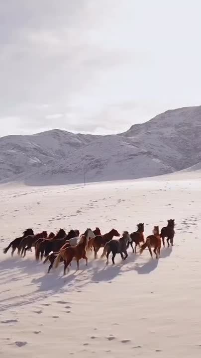 ������ �� �������