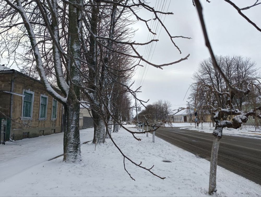 ������ ���� ������� � �������