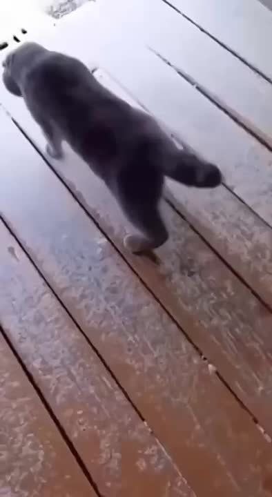 �������� �������������: ������ �� ������� ����� ��������� ����������