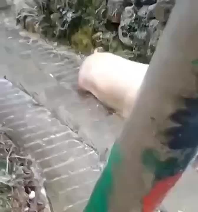 ���������� ������� ��������, � ����� ����������� �������� �����