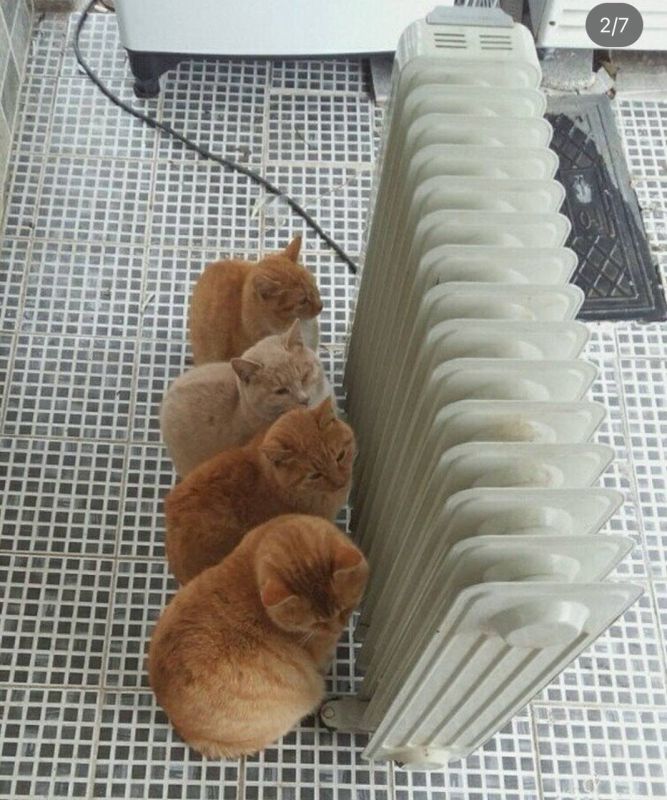 � ������� � ������������� ��������� ������ �� -15�C