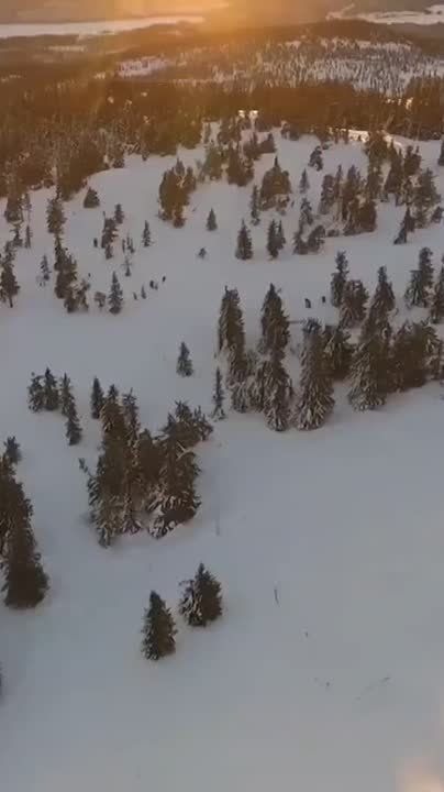 ������ �� �������