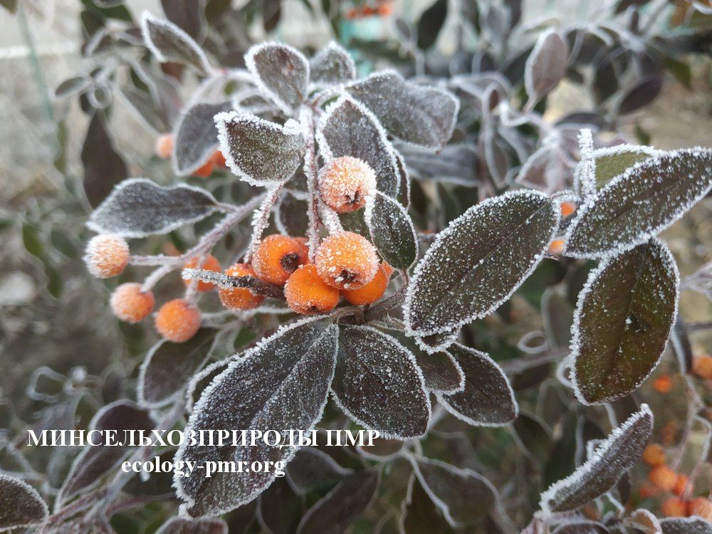 ������� ������ �� 19 �������