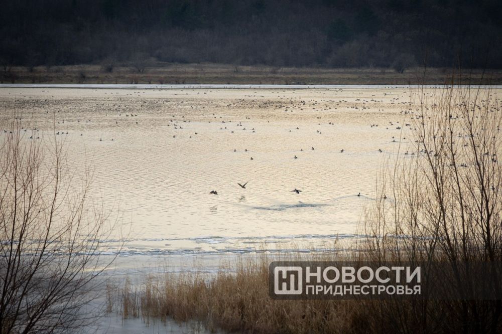 ������� ����� ����� ���� ��� ����������� �������