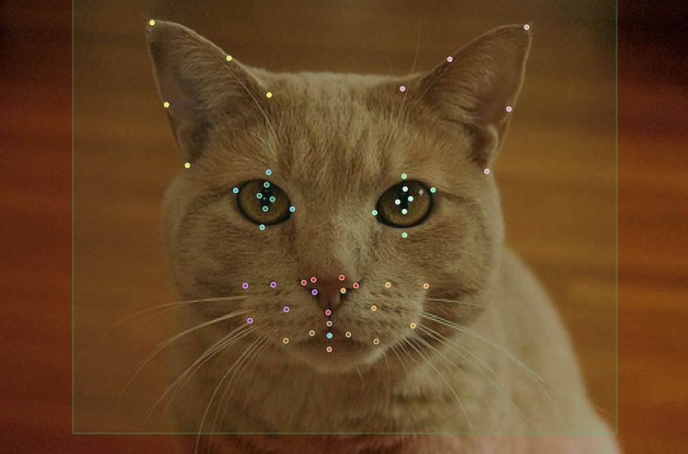 ������������� ������� ��������� �������� ��� ������������� ������ ��������