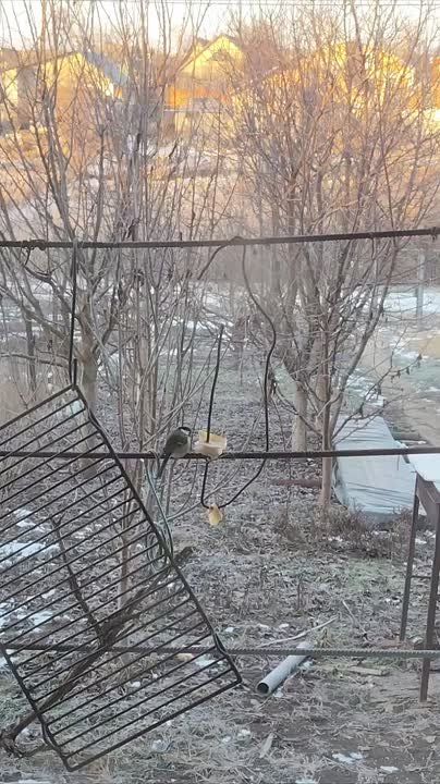 ������� �� ��������� ������� ����� ���� ��������� � ���� �������