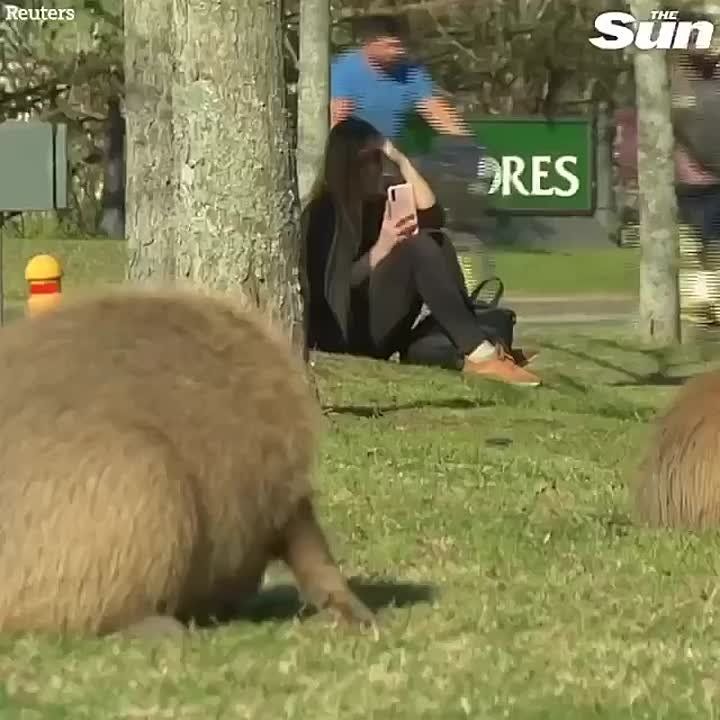 ������ ��������� ������ �������� � ����������