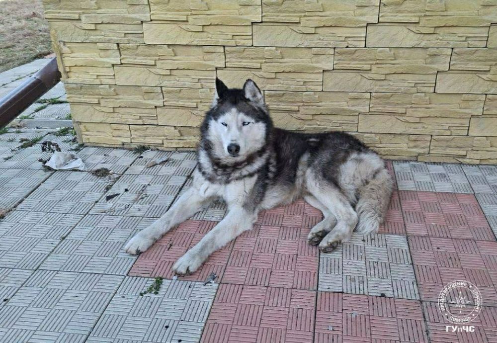 ���� ������� �����. ��������� ���� ������ ������� �������� �� ������������� ������� ����� � 14. ������ ������� �������� ��������� � �������� ����� ���������