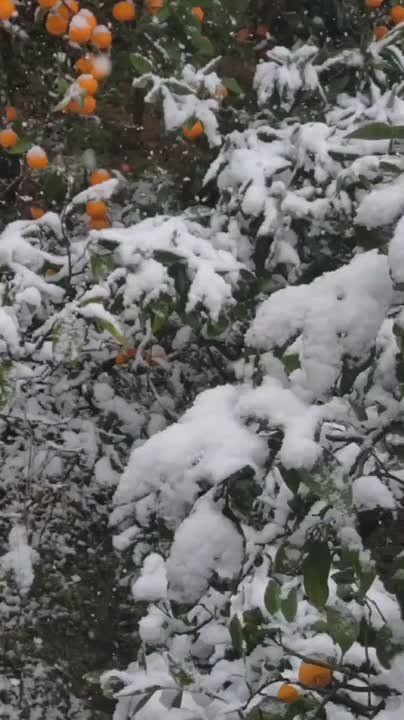 ������ �� �������