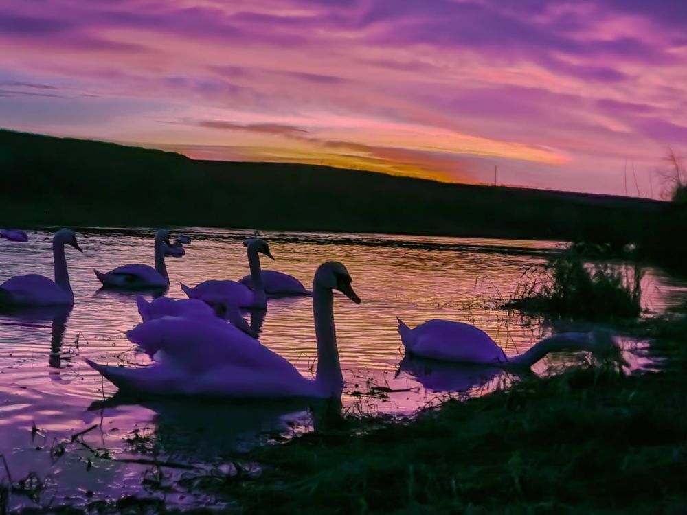 ���� "��������� �������� �� ������" ��������� �������� ��������� ������ ������ ������, �������� ���������� ���������������� ��������� ��. �.�.�������