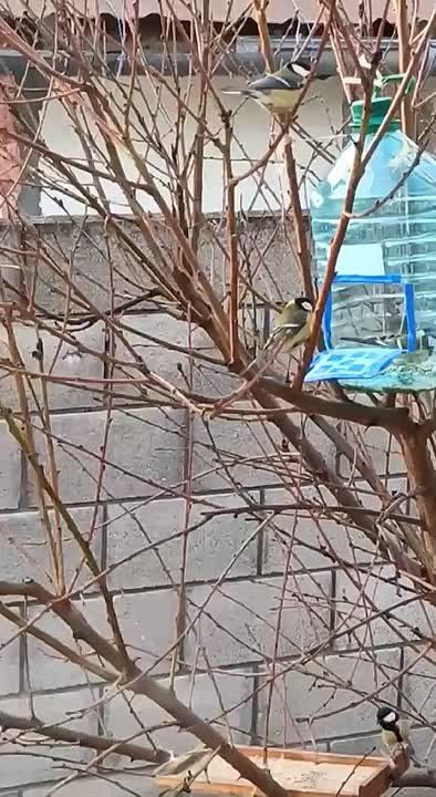 �������� ������� � ��������