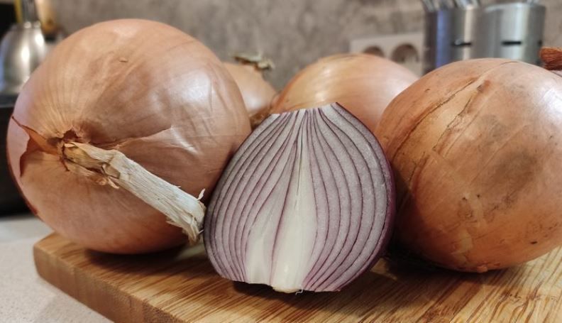 � �������� ��������� - ���� ����