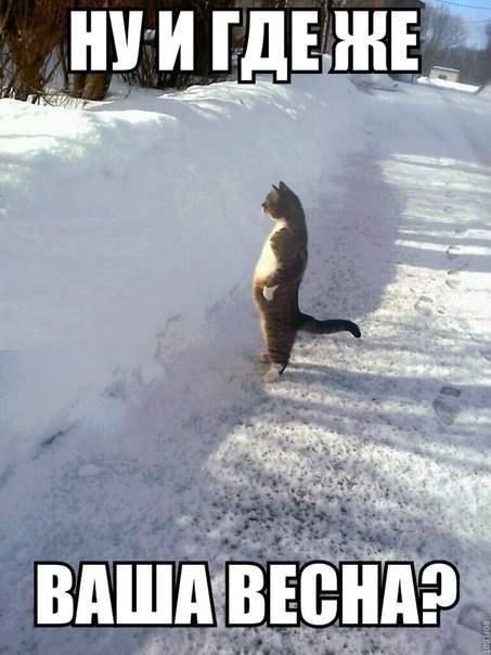 �� ��������� ������ ��������� �� +9. �������� ����������� �������