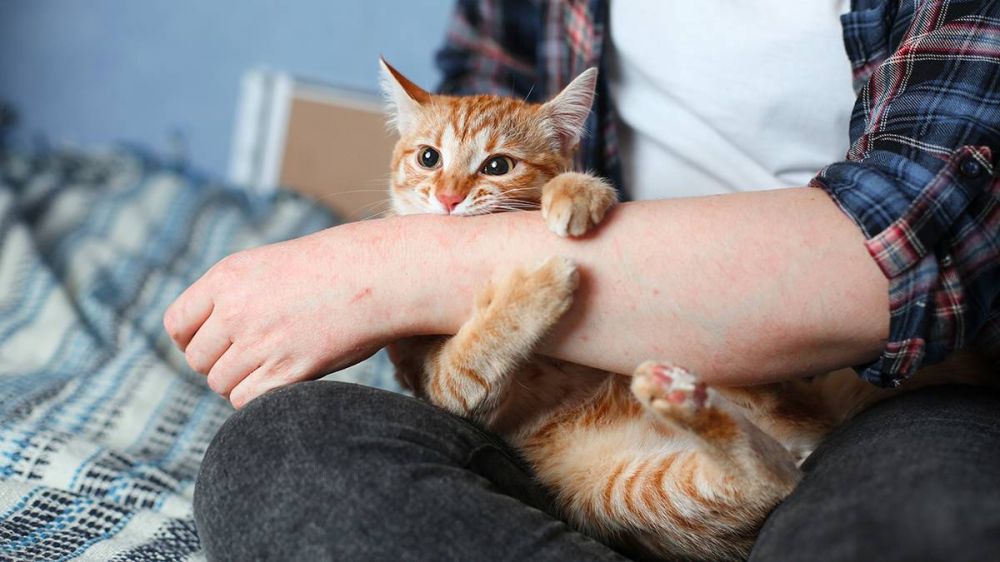 ����� ���������� ��������, �������� ��� �������������, � ����� �������� �������� �� �������� ������ � ���