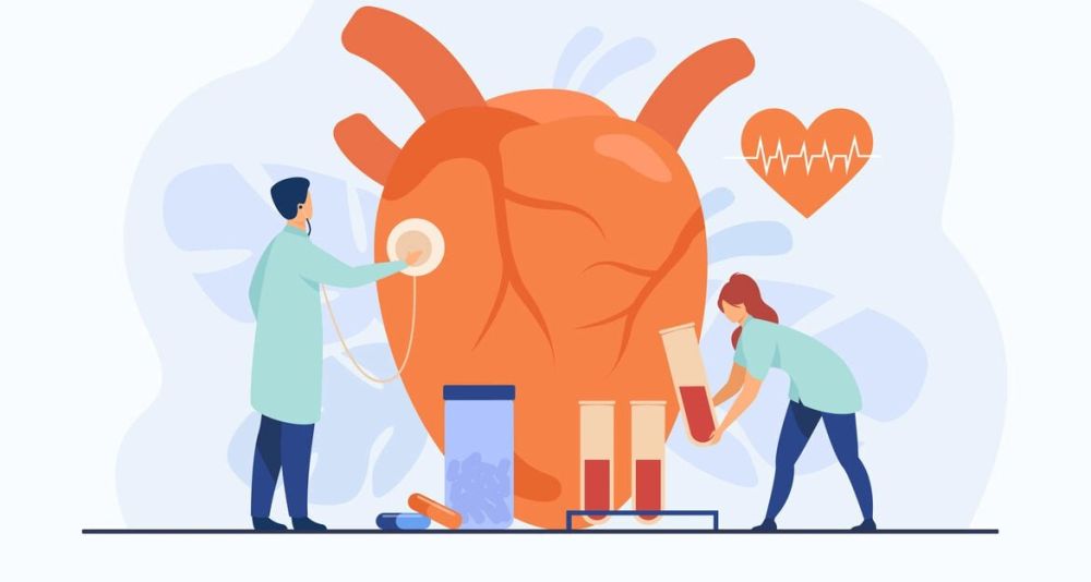 ����� ���������� ��������� �� ������ � ��������-����������� ������������� � 2024 ����: