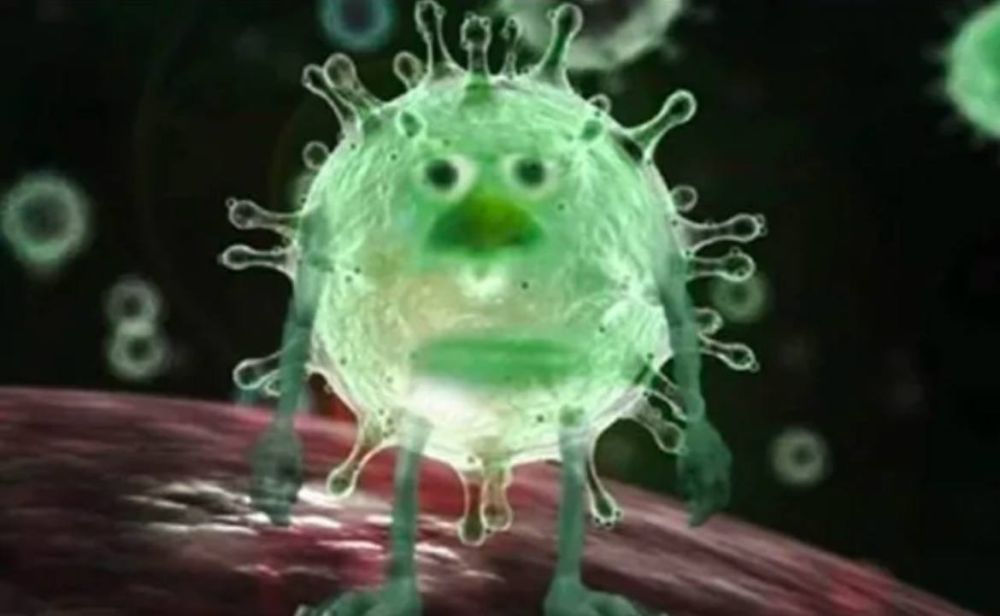 ������� "�� � ���": ����� �����������, ��������� ������������ ������� COVID-19, ���������� � ����� � ������� �����