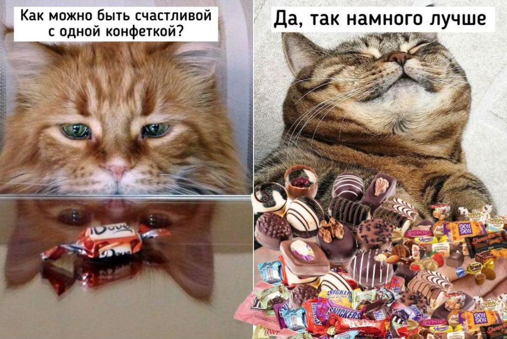 ����� ���������� ����.. ������� ��������� ��������� ���� �������� ������� � ��������� ���� ������