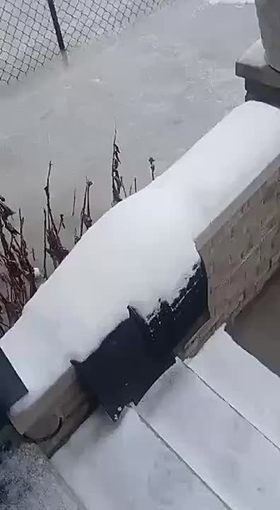 ���������� ������ � ��������