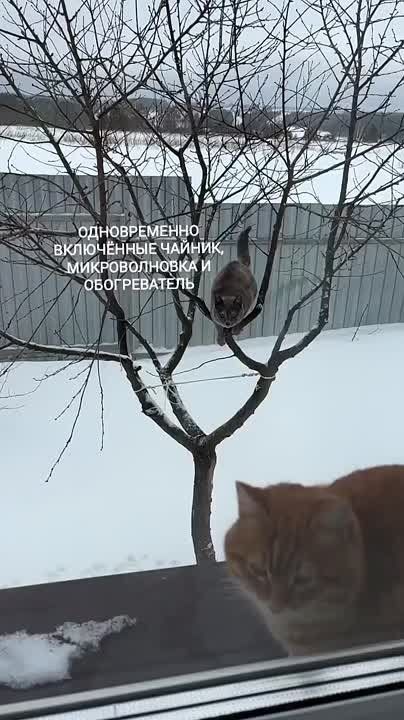 Включаешь всё и сразу – потеряешь всё и сразу!