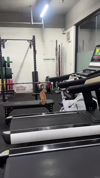 ����� �� ������ ��������, ����� ������� �������� ���