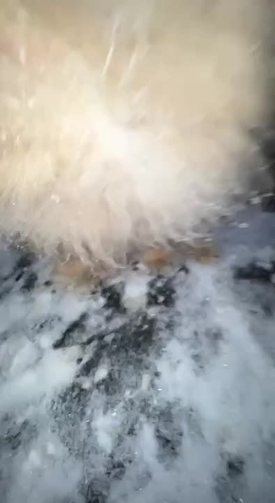 � ������� ��������� ����� ������ � ����, �������� ������� �� ������� ������� � �����-������ ����� � ��� �������� ������� ��������� ����������, � � ���� ������ ���� ���� ������� �� ����� ����