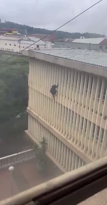 ������������ ����� �� ����