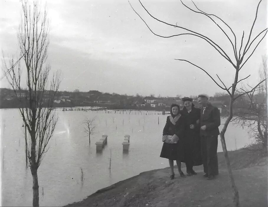 ���������� � ������ ������ ������ 1949�1950 ��