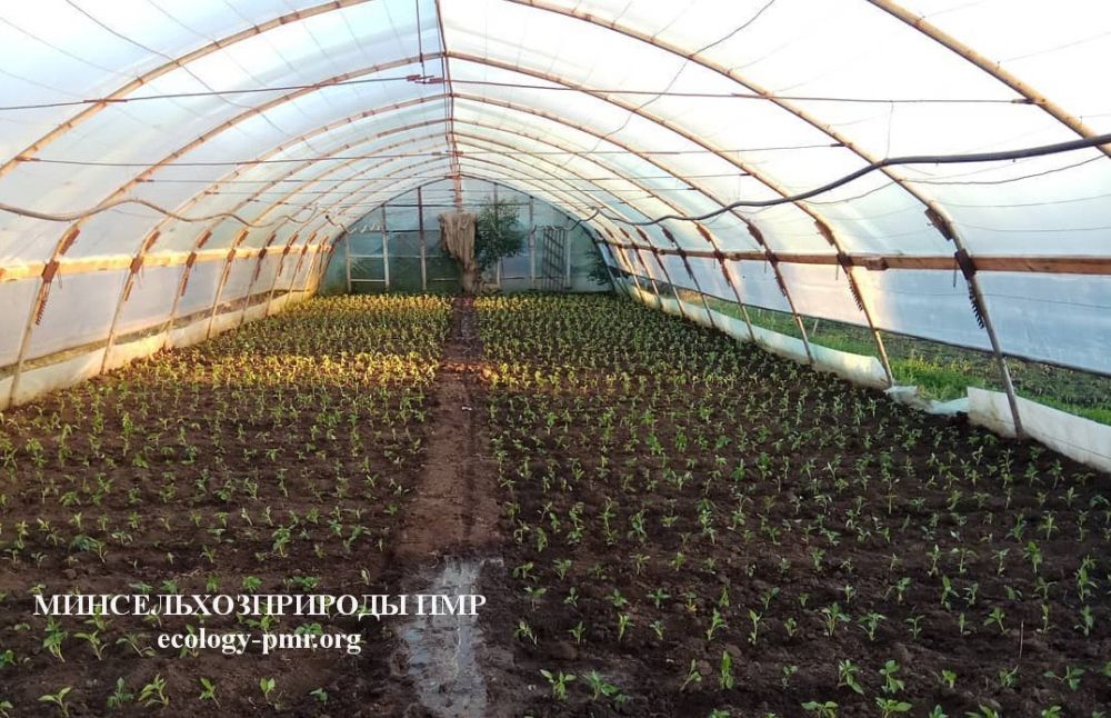 ����� ����� ��������. �� ���� �������� ������������� �������- ������� ������ ������� ������� ������� ����� ������������ �� ����� ������ � �������� �������� ���������������� ��� ��������� ���������