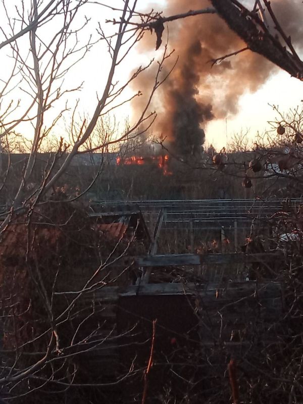 ��� ��� ����� ������ � ������� ������� � ��������