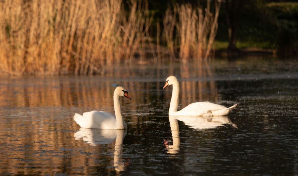 ����� � ������. �� �������� ������ � �������: