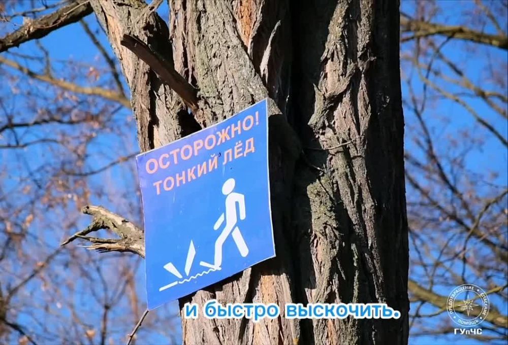 ��� ��������, ������ �� ���� ������ ����� ���� ������